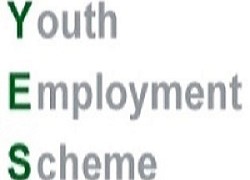 Bromley Youth Employment Scheme